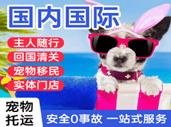 唐山三女河航空货运国际宠物托运 【国